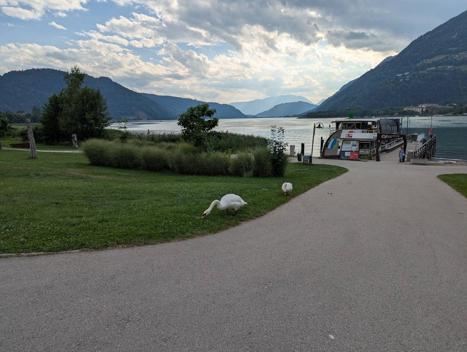 Labudovi na obalnoj promenadi